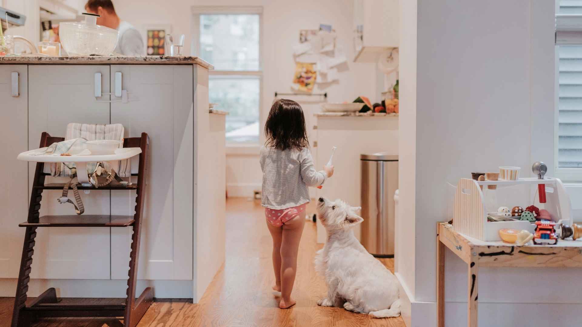 Comida cocinada para perros